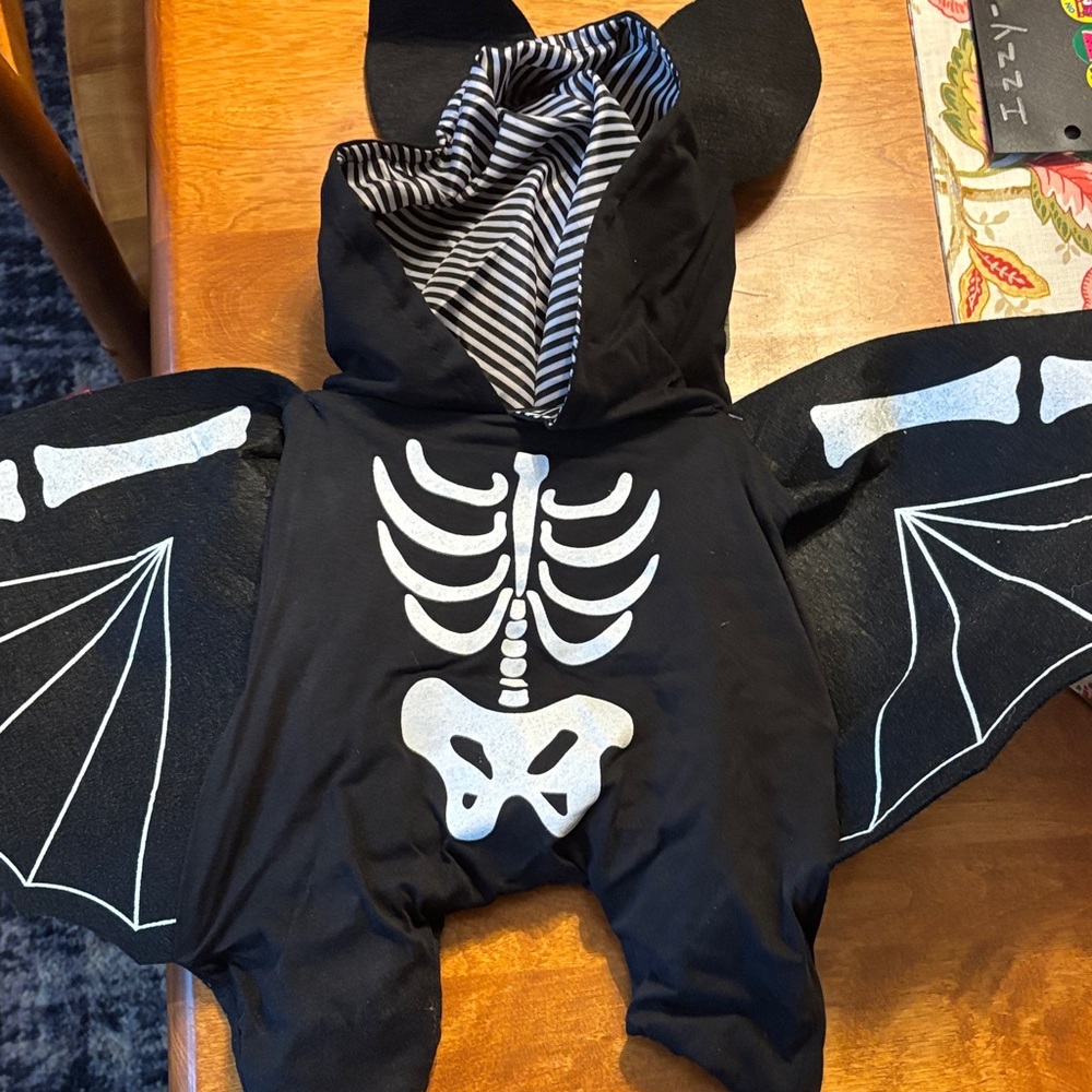 Ashland Black Skeleton Bat Dog Costume